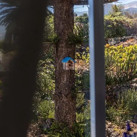 Casa Lupe Σπίτι διακοπών Santa Úrsula